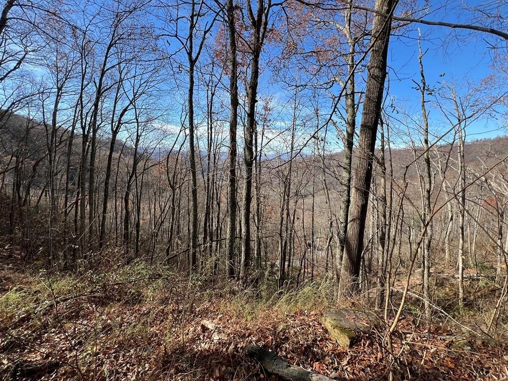Land Near Bryson City, NC