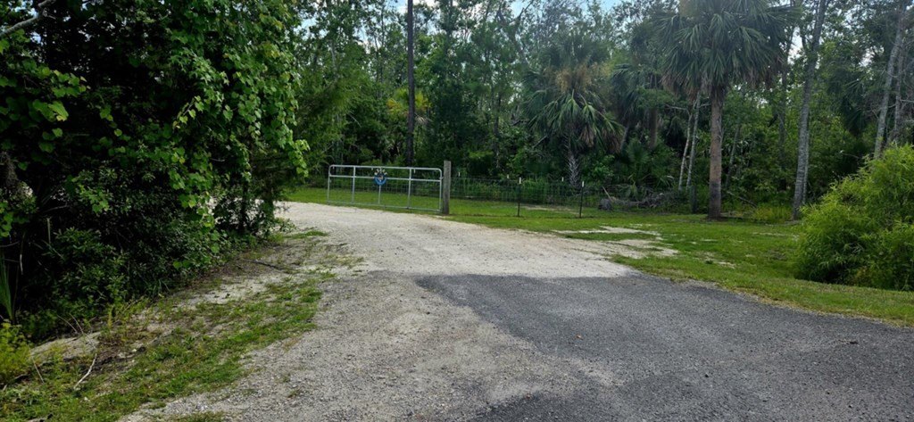 Picture 9