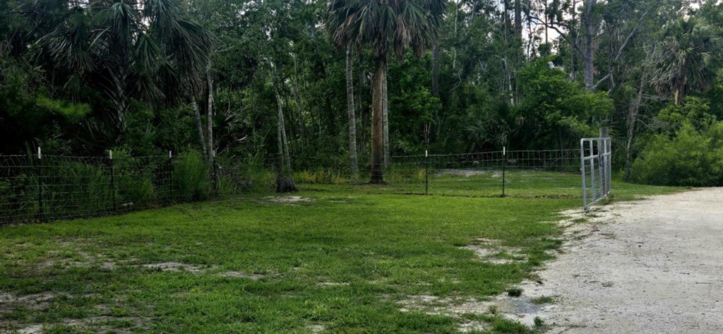 Picture 12