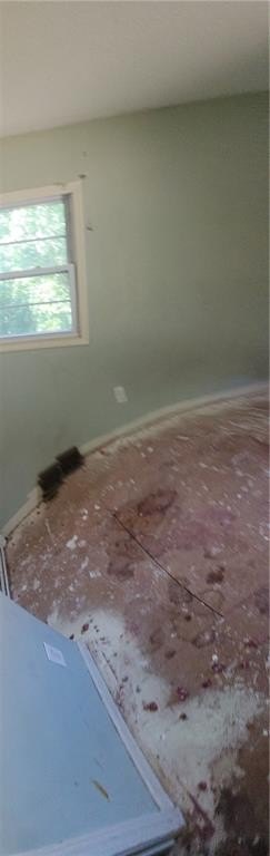 Picture 38