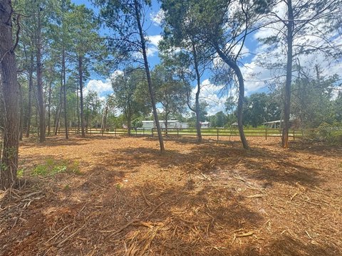 Land, PAISLEY, FL