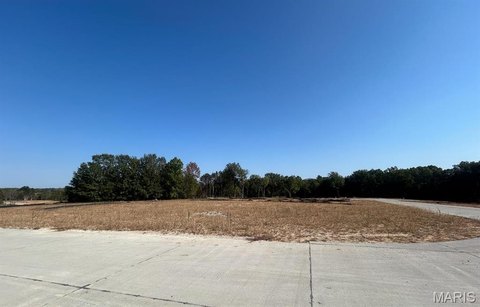 Waterfront Walk-Out Home Lot