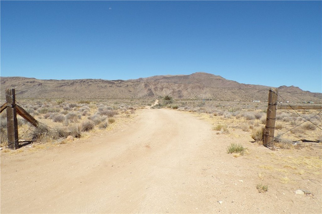 Picture 5