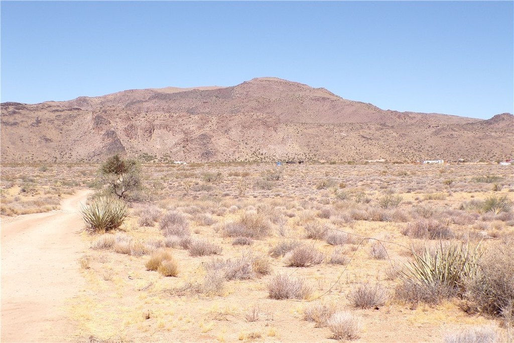 Picture 10