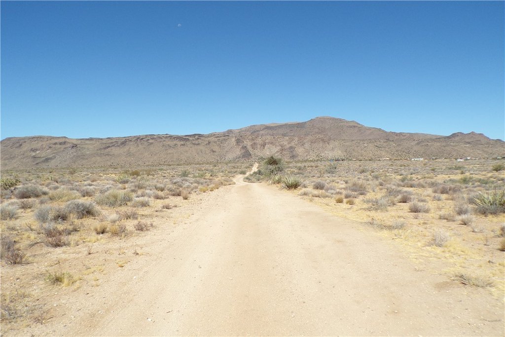 Picture 9