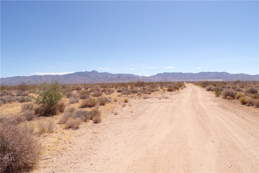 Picture 12