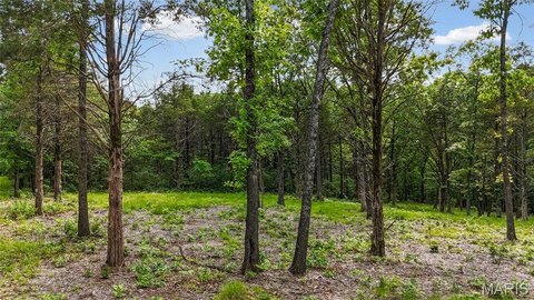 Agricultural Land Lot for Home Build