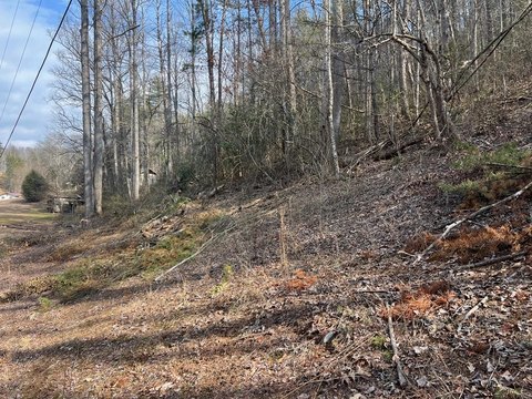 Unrestricted Land Near Bryson City