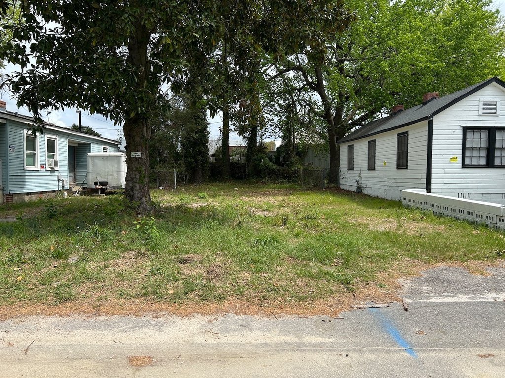 Picture 2