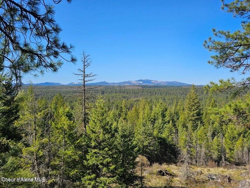 5 Acres of Wooded Land