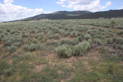 Questa, NM Land with Views
