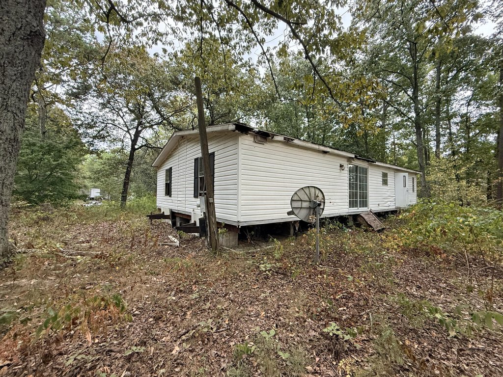 Picture 5