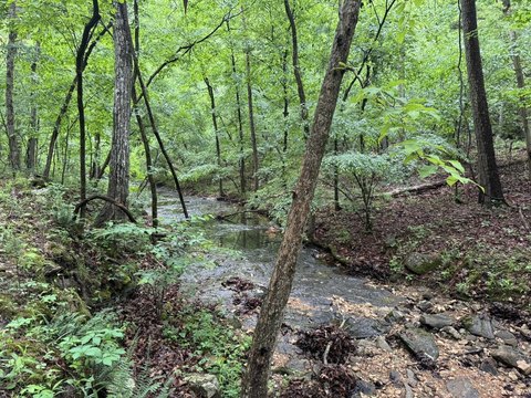 Ozark Mountain Land Tract
