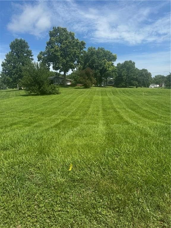 Picture 2