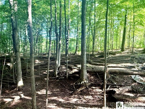 Spacious Land in Gerry, NY