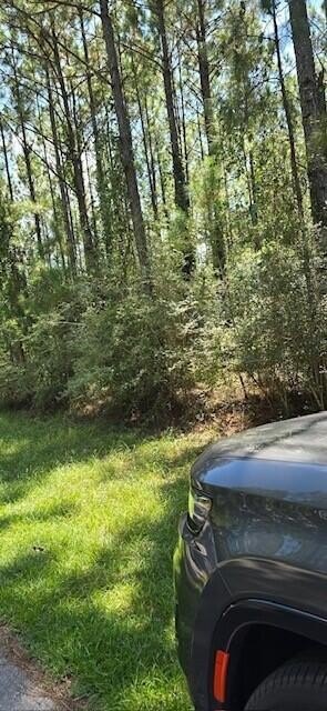 Residential Land in Milton, Florida