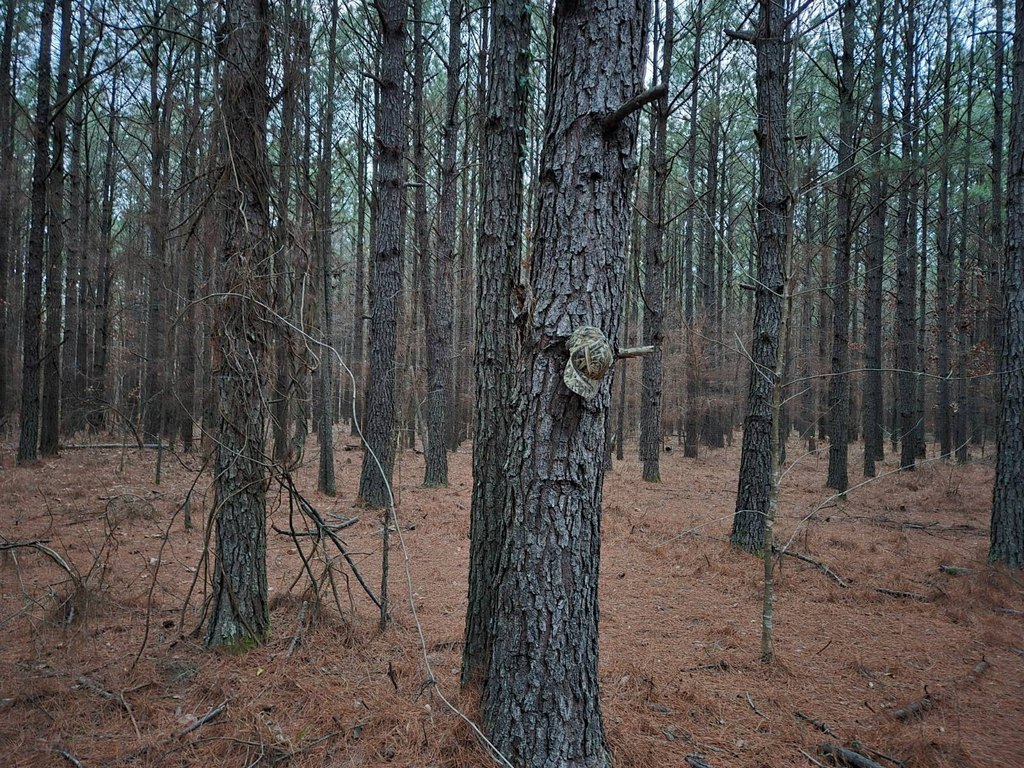 Picture 14