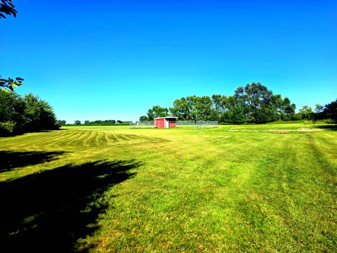LAND - Graceville, MN