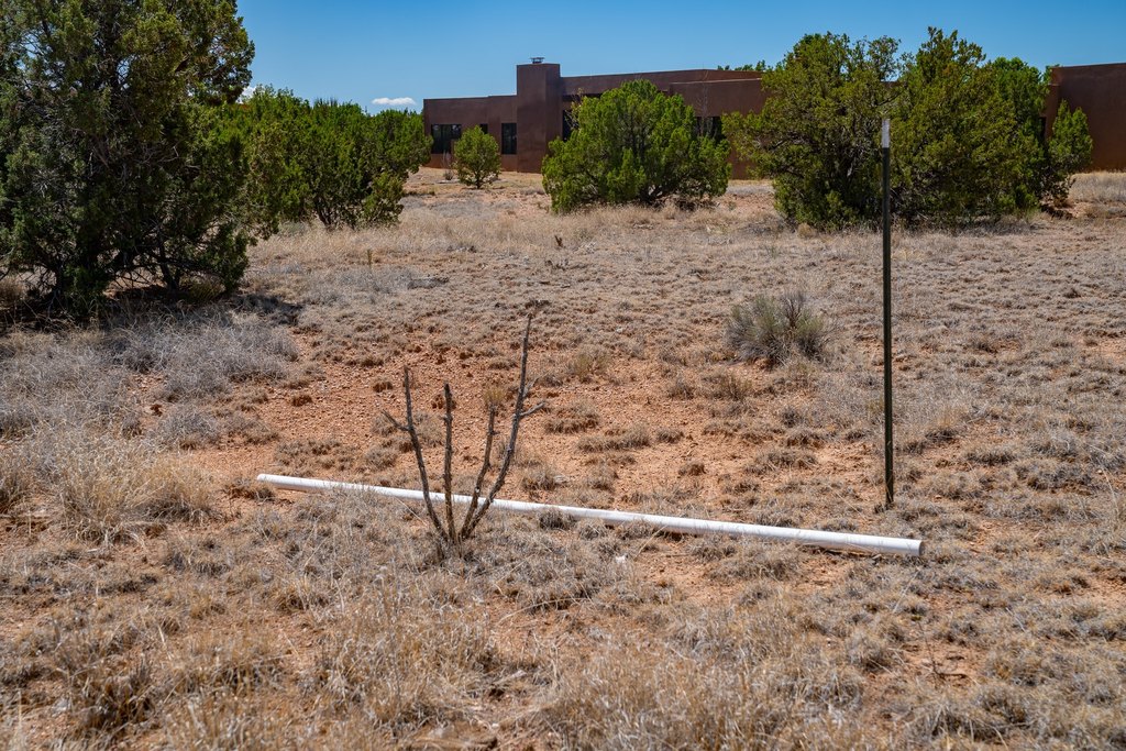 Picture 9