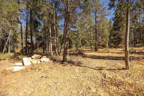 Mountain Homesite with Road Frontage