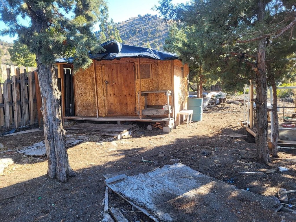 Picture 16