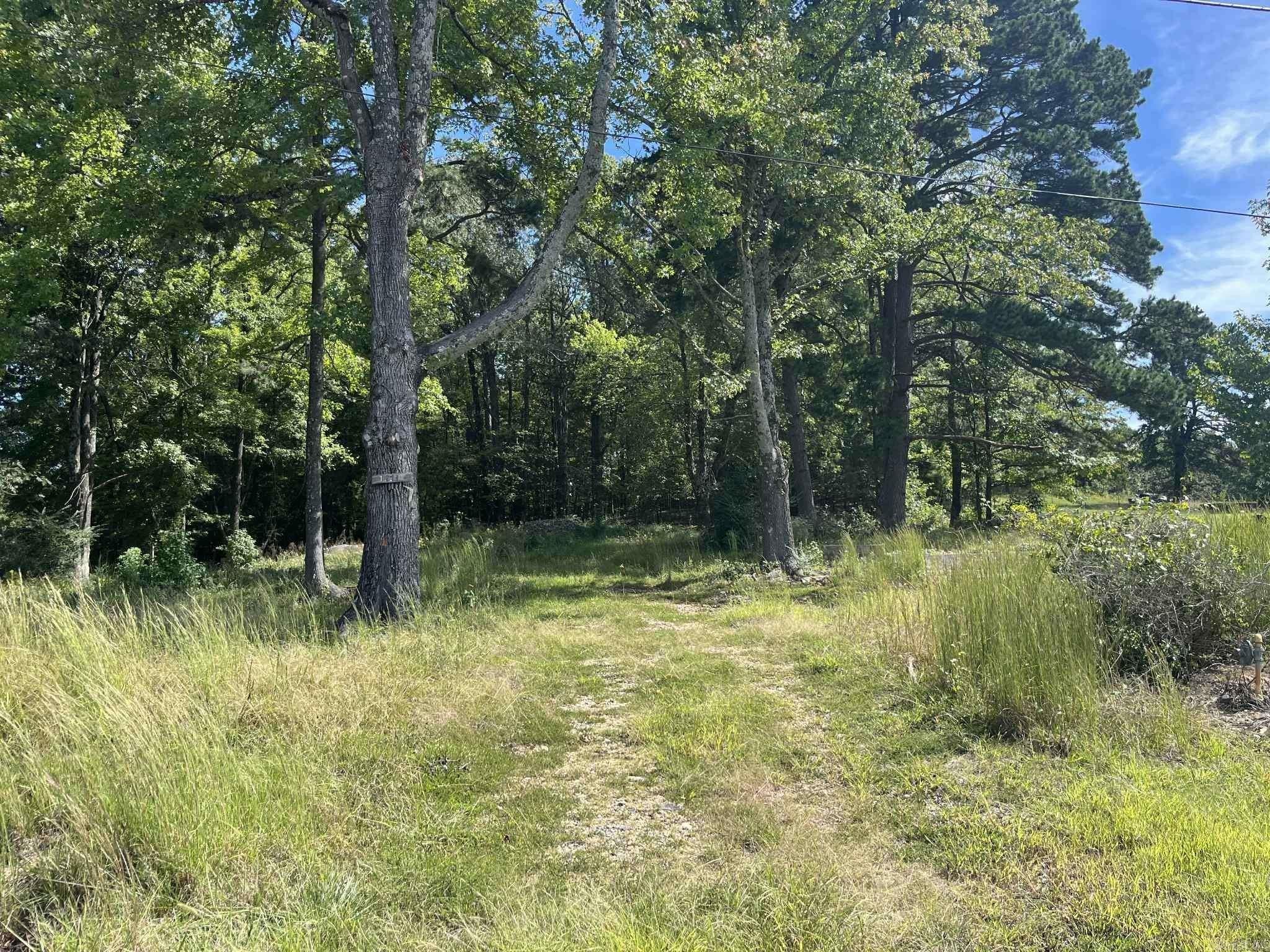 Residential Lot in Mena, AR