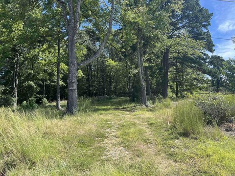 Residential Lot in Mena, AR