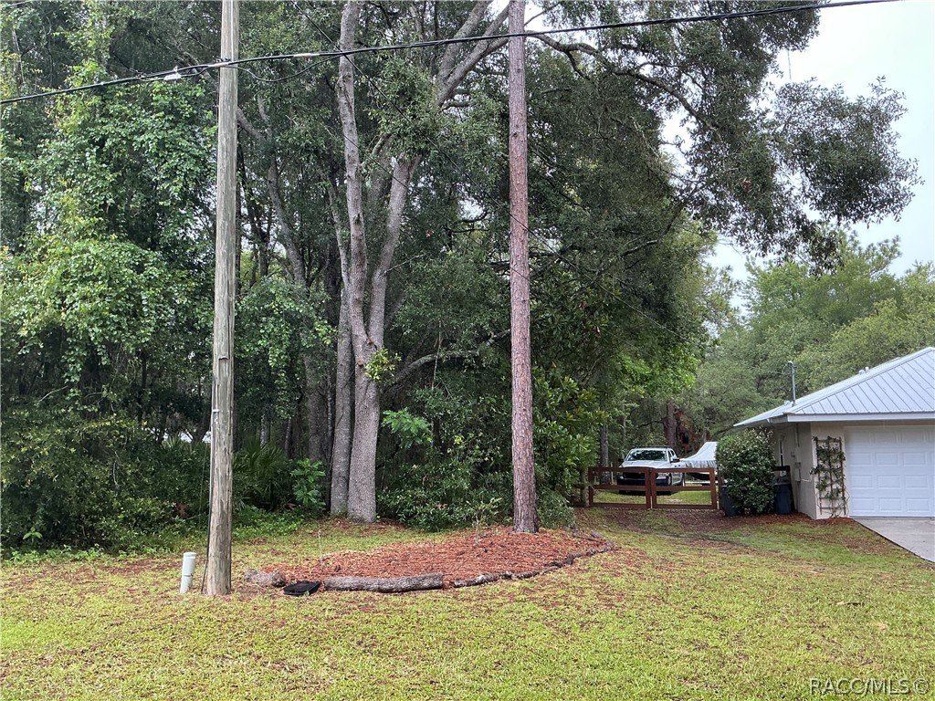 Picture 5
