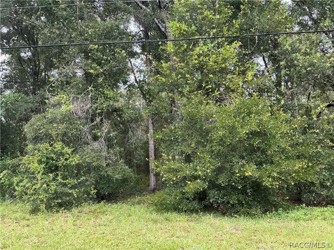 LAND - Hernando, FL