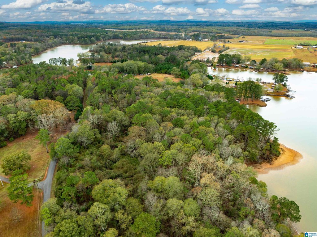 Picture 10