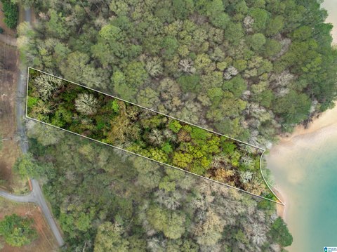 Lakefront Land Parcel