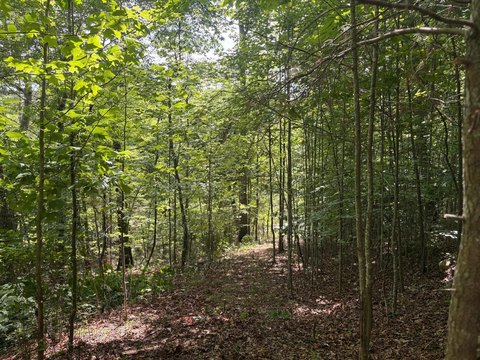 Recreation Land Lot with Seasonal Stream