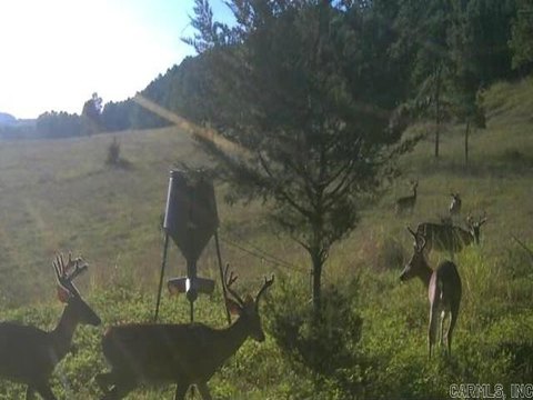 Land with 30-Acre Pond