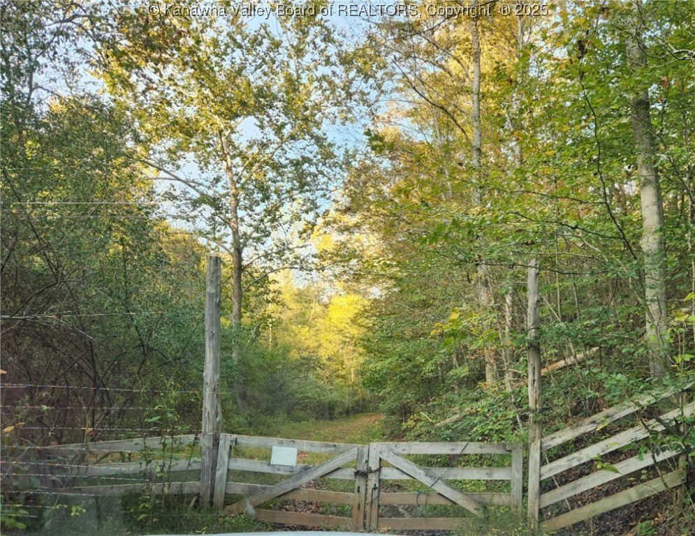 Secluded 75-Acre Land Parcel