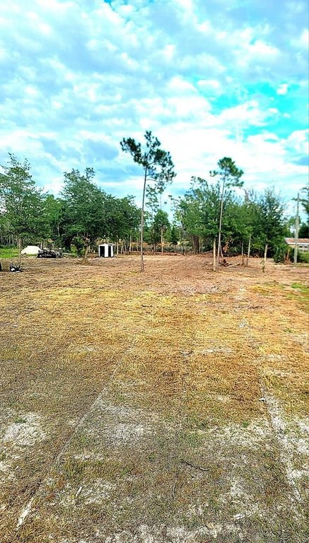 Picture 2
