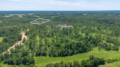 LAND - Goodman, MO