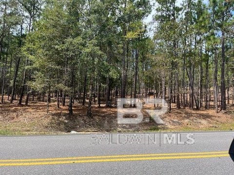 Estate Sized Residential Lots