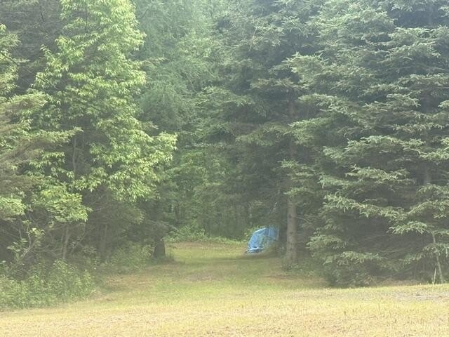 Picture 3