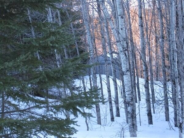 Picture 5