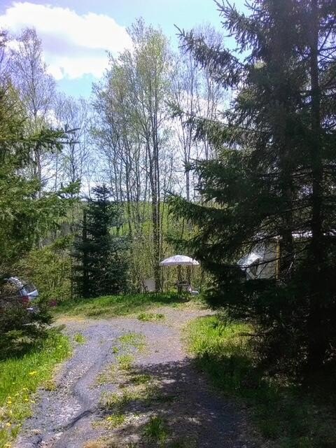 Picture 7