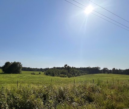 Vacant Land, Rose Bud, AR