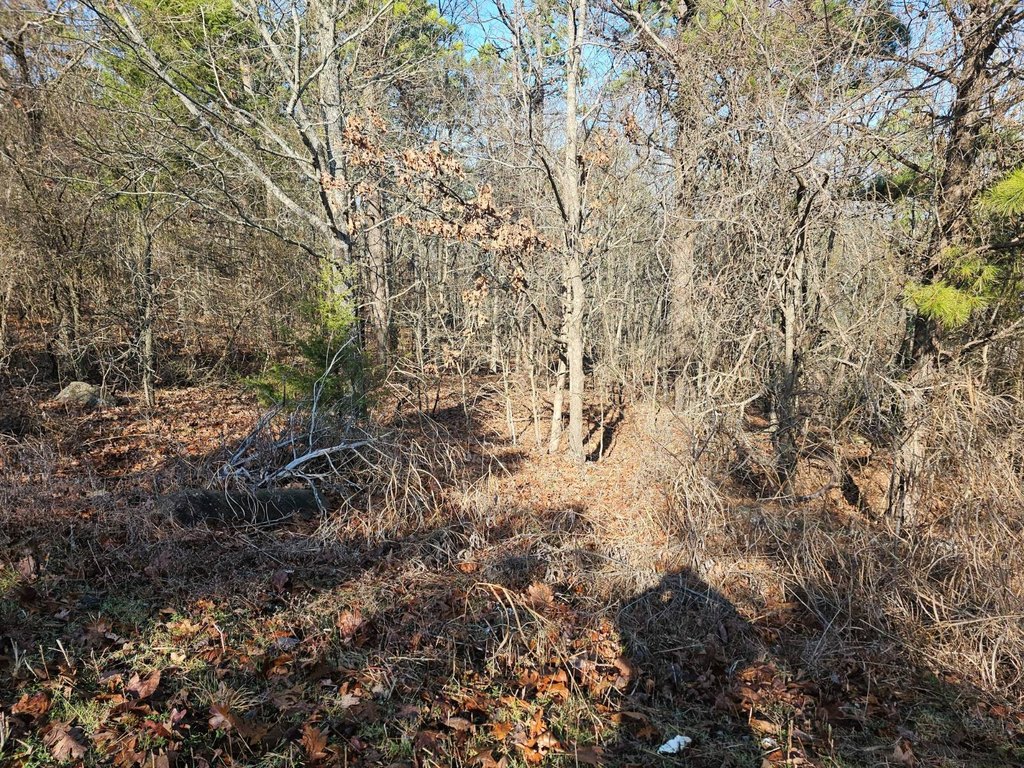 Picture 6