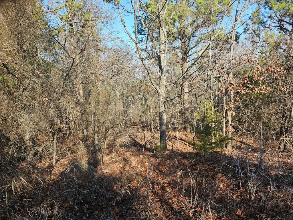 Picture 4