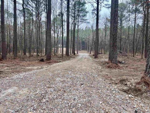 Hot Springs Land Homesite Potential