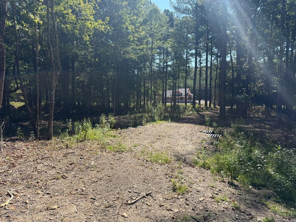 Picture 23