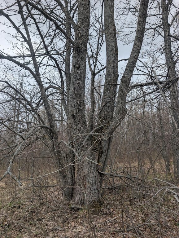 Picture 16