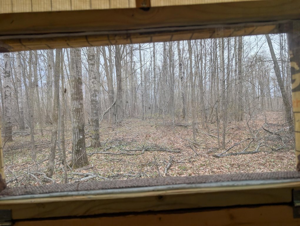 Picture 23