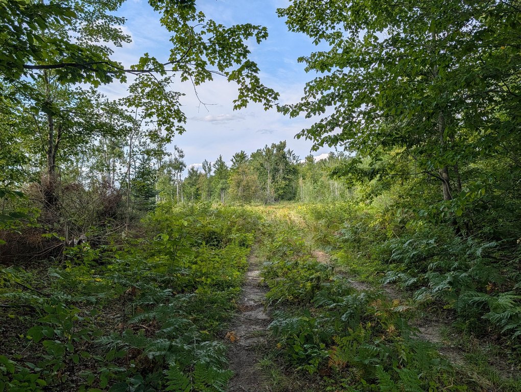 Picture 9