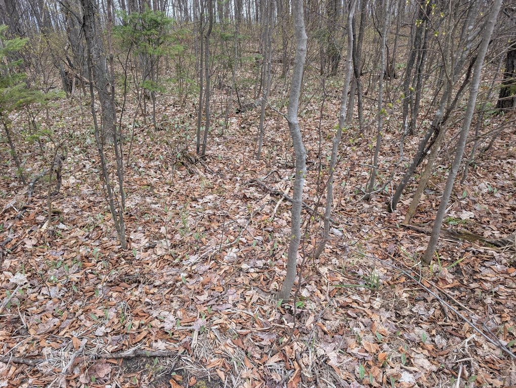Picture 30