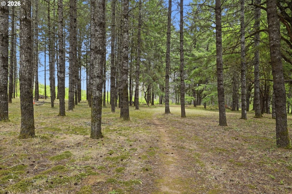 Picture 36